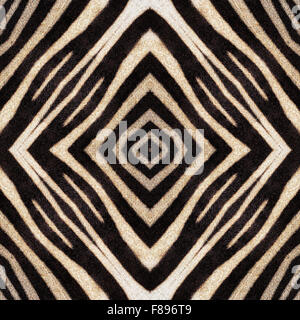 Résumé fond de zebra stripes. Modèle magnifique faite par la Mère Nature. Banque D'Images