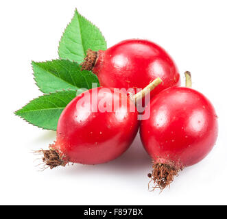 Rose-hanches avec feuille isolé sur un fond blanc. Banque D'Images