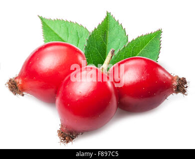 Rose-hanches avec feuille isolé sur un fond blanc. Banque D'Images