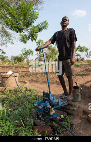 La ZAMBIE, Chipata, petit agriculteur irrigue de légumes avec la pedale pompe à eau ou pompe à pédales pour vendre des légumes pour générer un revenu supplémentaire Banque D'Images