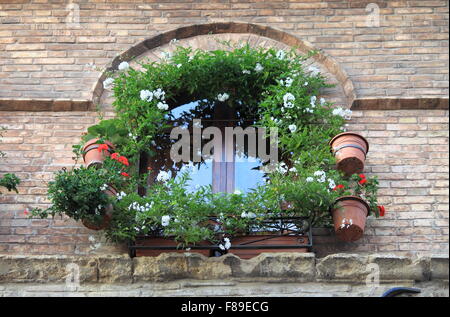 Fenêtre médiévale avec des pots de fleurs dans un bâtiment mur de briques rouges Banque D'Images