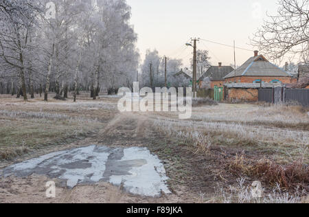 Matin calme dans petit village ukrainien. Route de la terre se trouve entre la forêt et le pays street. Banque D'Images