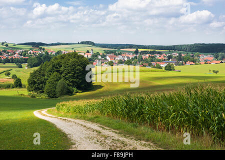 Parc Nature Forêts de l'ouest d'Augsbourg, Bavière, Allemagne, Europe Banque D'Images