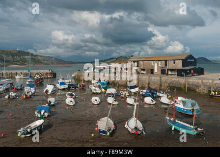 Lyme Regis harbour quand la marée est out, Devon, England, UK Banque D'Images