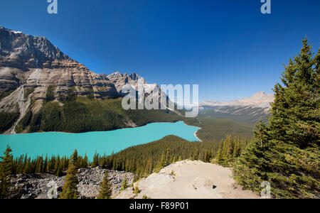 Le lac Peyto banff national park alberta canada Banque D'Images