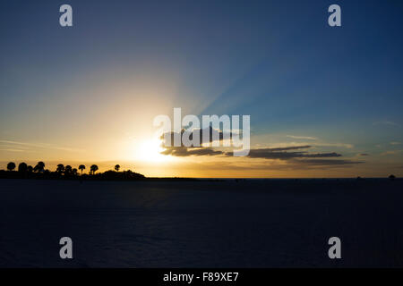 Coucher du soleil avec des palmiers au Sand Key Beach, Golfe du Mexique, Clearwater, Floride, USA Banque D'Images