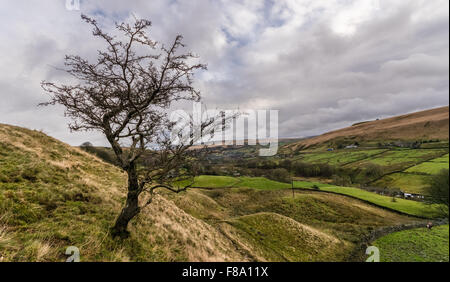 Arbre et Marsden Banque D'Images