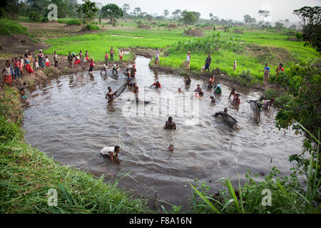 La pêche traditionnelle dans Douraghio. Côte d'Ivoire. Afrique du Sud Banque D'Images