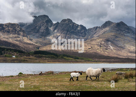 Sur le Loch Slapin de Selkirk Arms Banque D'Images