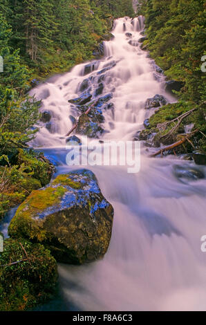 Silver King Creek, Parc Provincial Montagnes Babine, Smithers, Colombie-Britannique Banque D'Images