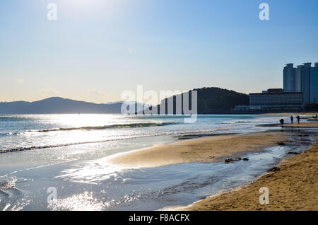 La plage de Haeundae à Busan, Corée du Sud sur une journée d'hiver. Banque D'Images