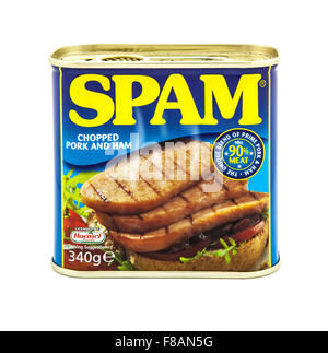 Boîte de Spam de porc haché et le jambon sur un fond blanc Banque D'Images