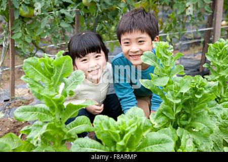 Portrait of boy and girl smiling in domaine de légumes Banque D'Images