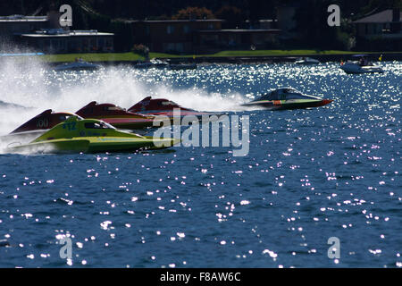 Une ligne d'hydroglisseurs limité jusqu'à hurler la ligne de départ au cours de la norme 2010 Evans Memorial HydroFest dans le lac Chelan, Washi Banque D'Images