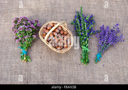 Sélection de plantes médicinales et de noisettes sur fond lin Banque D'Images