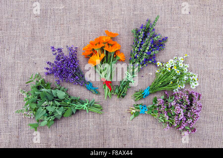 Ensemble de diverses herbes fraîchement cueillies médicaux mis sur fond lin Banque D'Images