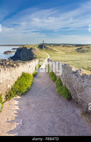Chemin qui Mène à une croix sur l'île Llanddwyn, Anglesey, Pays de Galles Banque D'Images