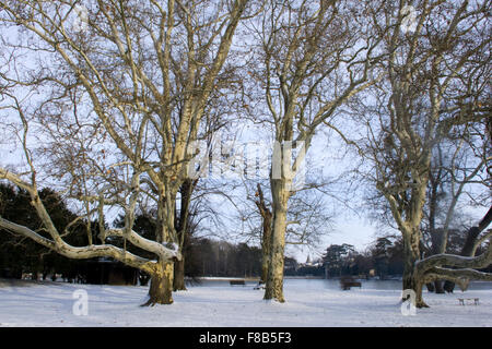 Österreich, Niederösterreich, Laxenburg bei Wien, le Schlosspark Banque D'Images