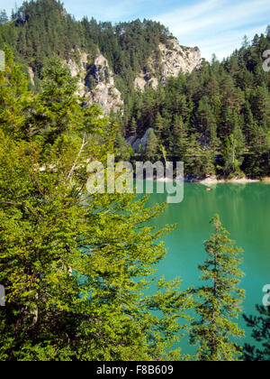 Österreich, Niederösterreich, Naturpark Ötscher Tormäuer, Erlaufstausee Banque D'Images