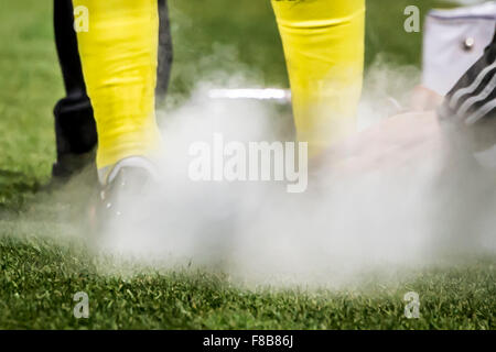 Modène, Italie. 6e déc, 2015. Football/soccer Cold Spray : Italien 'Serie' une correspondance entre Carpi 0-0 Milan à Alberto Braglia stadium à Modène, Italie . Credit : Maurizio Borsari/AFLO/Alamy Live News Banque D'Images