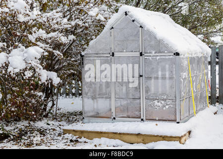 Peu d'arrière-cour Accueil émissions dans la neige. Banque D'Images