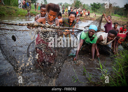 La pêche traditionnelle dans Douraghio. Côte d'Ivoire. Afrique du Sud Banque D'Images