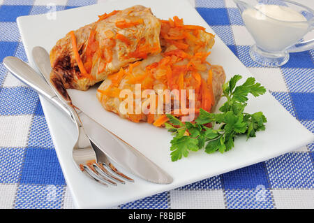 Chou farci compotée de tomates en sauce avec les oignons et les carottes dans une assiette avec de la crème Banque D'Images