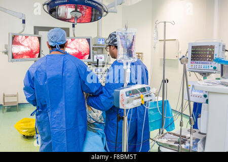 L'exécution de l'équipe chirurgicale ablation de la prostate (prostatectomie) en vertu de l'coeliosurgery. Banque D'Images