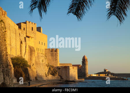 Le Château Royal de Collioure et Eglise Notre Dame des Anges, dans l'arrière-plan. Banque D'Images