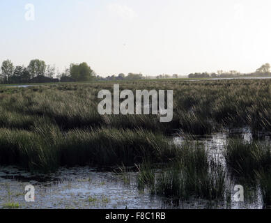 Les bords rouges et bleus autour de ombre sur l'eau en raison de la diffusion différentes proporties Banque D'Images