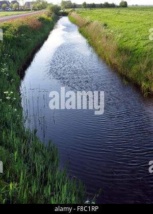 Les bords rouges et bleus autour de ombre sur l'eau en raison de la diffusion différentes proporties Banque D'Images