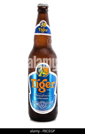 Bouteille de bière Tiger sur un fond blanc Banque D'Images