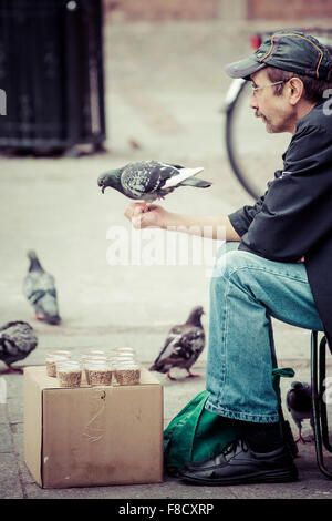 Pigeon perché sur main de graines vendeur. Banque D'Images