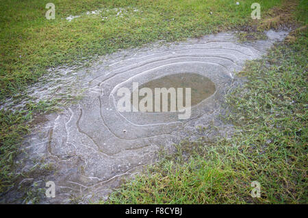 Mince couche de glace sur une flaque d'eau sur l'herbe Banque D'Images