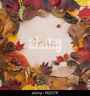 Mot "AUTOMNE" en brun sur un chiffon entouré par les différents types de feuilles tombées et des pommes de pin ensemble Banque D'Images