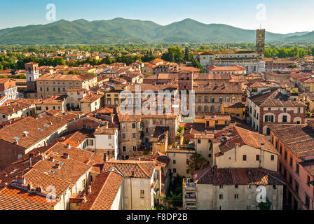 (Lucca Toscane Italie) panorama avec la Cathédrale Banque D'Images