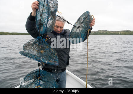 Un homme tire un bénéfice net de l'aquaculture d'élevage contenant les pétoncles dans leurs coquilles, cultivé dans les eaux de l'océan Atlantique, du Québec, Canada. Banque D'Images