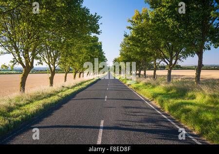 Tout droit chemin rural dans le Cambridgeshire England uk ue vers de grands Chishall Banque D'Images