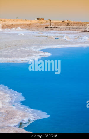 Chott el Djerid, Salt Lake en Tunisie Banque D'Images