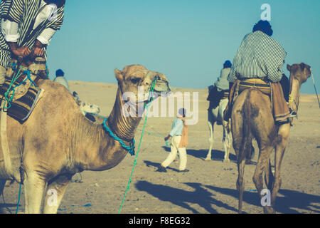 Beduins menant les touristes sur des chameaux à court-circuit touristique autour du début qu'on appelle portes du désert du Sahara Douz, Tunisie, Banque D'Images