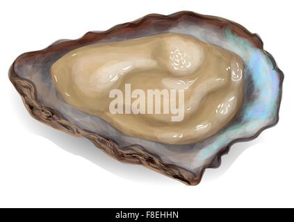 Oyster sur fond blanc. EPS 10 Illustration de Vecteur
