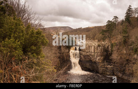 Vue de la Rivière Tees à force élevée cascade dans la région de Teesdale,Co.Durham, Angleterre, Royaume-Uni Banque D'Images