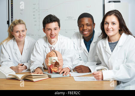 Groupe d'étudiants en classe de biologie Banque D'Images