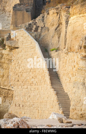 Avis de Proto Miggiano en côte du Salento, Pouilles, Italie Banque D'Images
