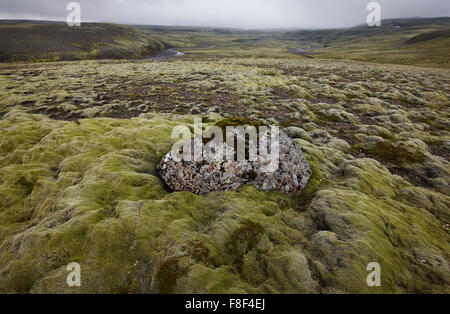 Paysage volcanique avec des formations de rhyolite dans Lakagigar, zone sud de l'Islande Banque D'Images