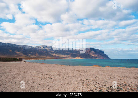 La zone protégée de Ras Shuab, Shuab Bay Beach, le golfe d'Aden, la mer d'Oman, l'île de Socotra, au Yémen, au Moyen-Orient. La biodiversité unique Banque D'Images