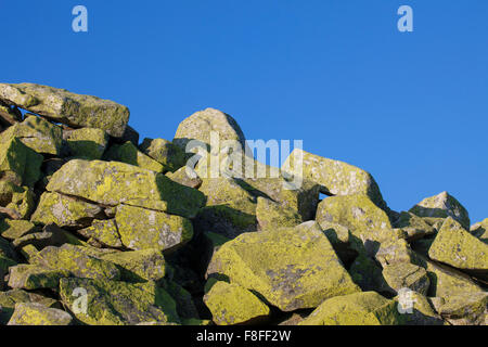 Exécuter en pierre avec des énormes rochers couverts de lichen au Mont Lusen, Parc National de la forêt bavaroise, Bavière, Allemagne Banque D'Images