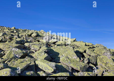 Exécuter en pierre avec des énormes rochers couverts de lichen au Mont Lusen, Parc National de la forêt bavaroise, Bavière, Allemagne Banque D'Images