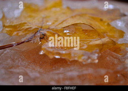 Feuille de gelée avec de la glace sur la plaque de bois Banque D'Images