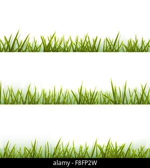 L'herbe verte réaliste collection isolated on white Illustration de Vecteur